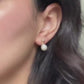 Serena - Pearl Drop Stud Earrings